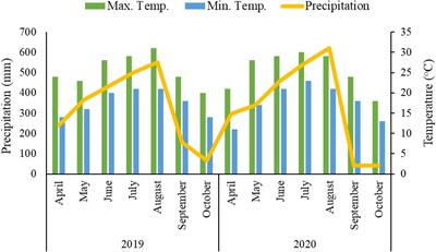 Foliar Application of NH4+/NO3– Ratios Enhance the Lodging Resistance of Soybean Stem by Regulating the Physiological and Biochemical Mechanisms Under Shade Conditions